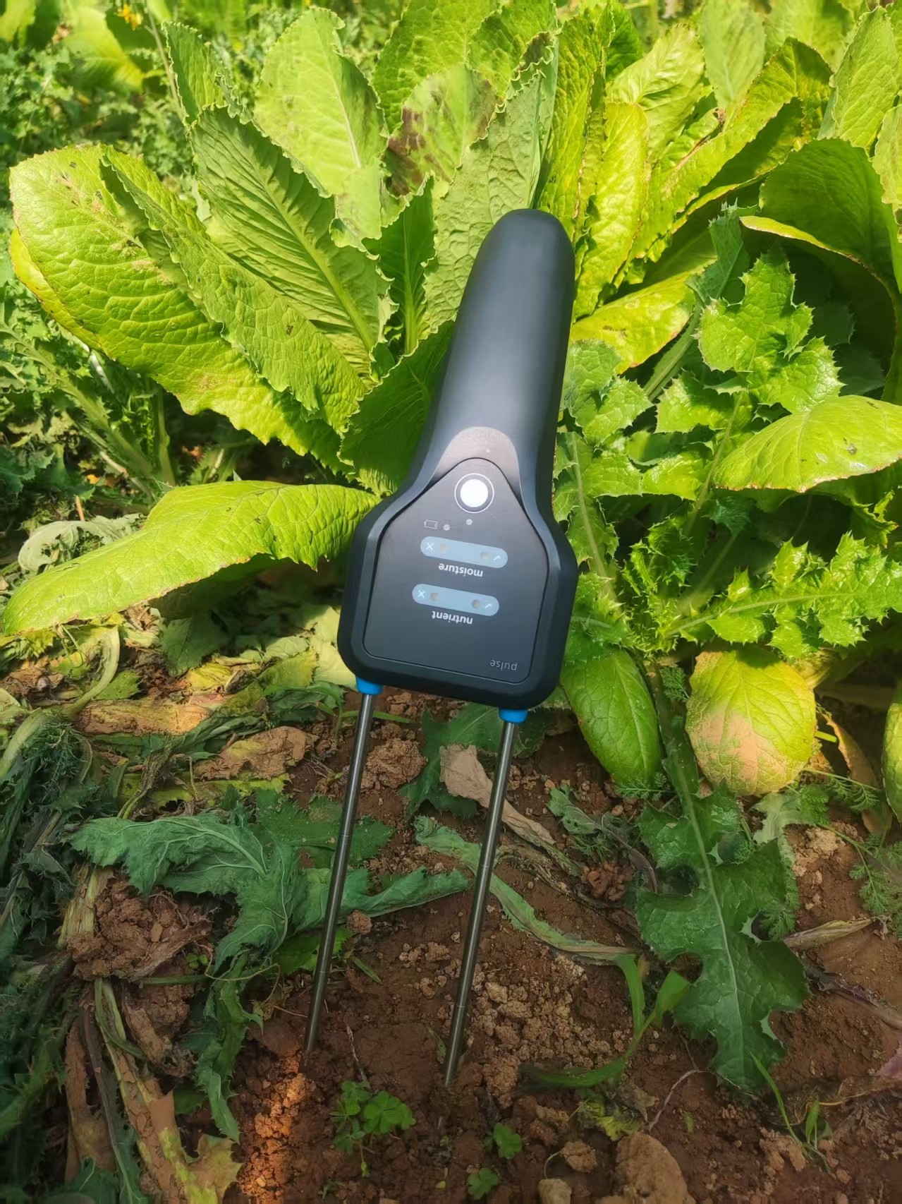 1744619608906780.jpg 無logo.jpg