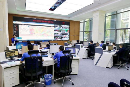 區(qū)政協(xié)視察全區(qū)智慧城管服務系統(tǒng)建設情況 科學化、智能化、智慧化推動城市治理新格局